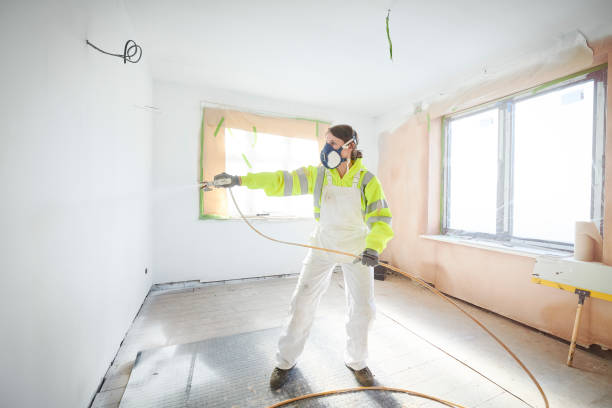 Best Water Damage & Mold Remediation  in Bethel, WA