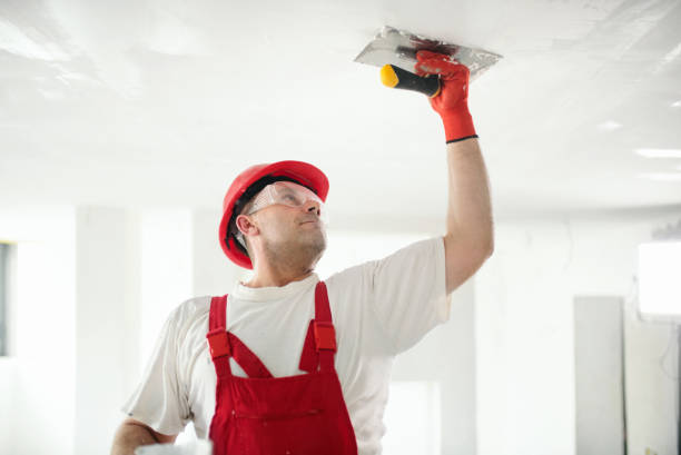 Best Post-Construction Mold Inspection  in Bethel, WA