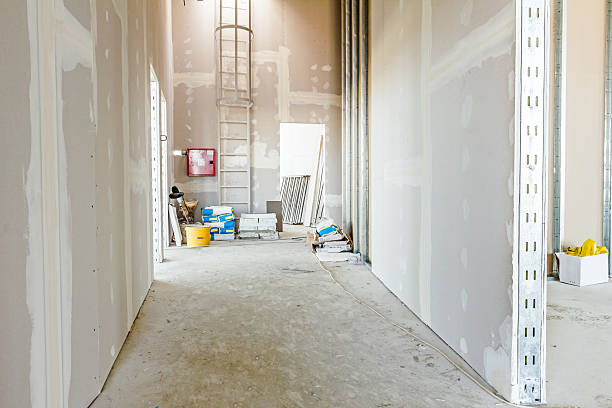 Bethel, WA Mold Removal Company