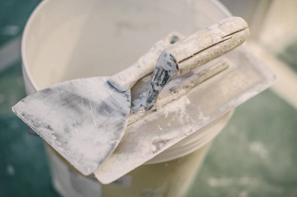 Best Asbestos and Lead Testing During Mold Inspection  in Bethel, WA
